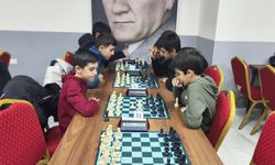 “Gençler Satrançla Sağlıklı Yaşamı Kutladı”