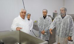 Elazığ’da Et İşleme Tesisine Gıda Güvenliği Denetimi