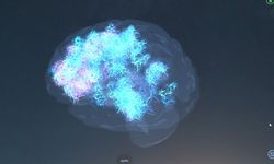 Nöroloji Uzmanından Uyarı: "Sanal Ortamdaki Öldürme Eylemleri Zamanla Gerçek Hayata Yansıyabiliyor"