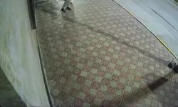 Elazığ'da Küllük Çalan Kadın Kameraya Yansıdı