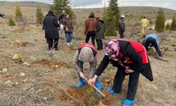 Elazığ'da fidan dikim etkinliği