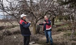 Elazığ'da Zirai Don Mesaisi