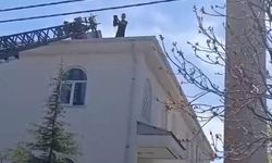 Kovancılar'da Mahsur Kalan Kedi Kurtarıldı