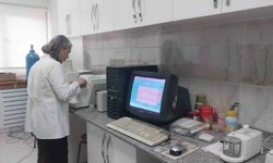 Türk Profesörlerin Yürüttüğü Sodyum-İyon Batarya Projesinde Laboratuvar Çalışmaları Tamamlandı