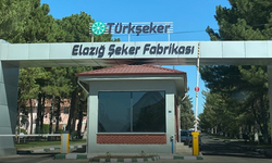 TÜRKŞEKER 525 İşçi Alıyor: Elazığ Kontenjanı Açıklandı