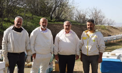 Elazığ’da Arıcılıkta Verim İçin Sahada Eğitim Çalışmaları Sürüyor