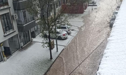 Elazığ'da Dolu Etkili Oldu