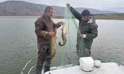 Elazığ'da Su Ürünleri Araştırma Çalışmaları Sürüyor