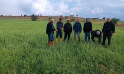 Elazığ’da Dolu Alarmı: Tarım Arazilerinde Hasar Tespiti Başladı