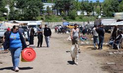 Elazığ hayvan pazarında hareketlilik sürüyor
