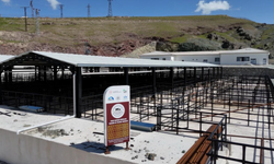 Elazığ Belediyesi, Kurban Satış Ve Kesim Alanını Açıkladı