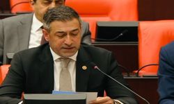 Milletvekili Işıkver’den Dolu Zararı İçin Bakanlığa Soru Önergesi