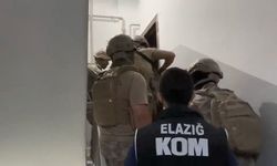 Elazığ Merkezli 4 İlde Suç Örgütüne Eş Zamanlı Operasyon: 29 Şüpheli Gözaltında