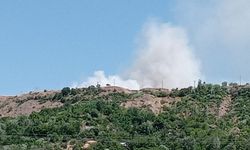Elazığ'da Arazi Yangını