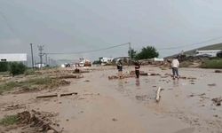 Elazığ-Tunceli yolu sel nedeniyle ulaşıma kapandı