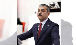 Keleş’ten Avrupa Parlamentosu Raporuna Tepki