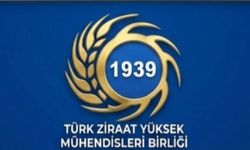 TZYMB’den Buğday Alım Fiyatına Revize Çağrısı