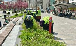 Elazığ Belediyesi’nden Yabani Otlarla Yoğun Mücadele