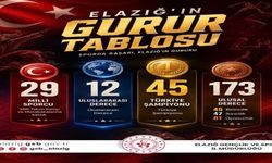Elazığ Sporunun Gurur Tablosu