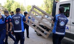 Elazığ Belediyesi Zabıta Ekiplerinden Denetim