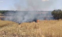 Elazığ'da Arazi Yangını Ekiplerin Müdahalesi Sürüyor