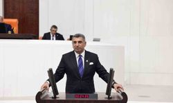 Milletvekili Erol: 'NATO Zirvesi, Türkiye'nin Uluslararası Alandaki Devlet Tecrübesini Bir Kez Daha Ortaya Koyacaktır'