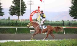 Valilik Koşusunda Zafer Nesib'in