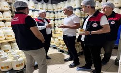 Elazığ'da Tulum Peynirinde Üretim Süreci Yerinde İncelendi