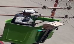 Elektrik Tellerine Takılan Kuş Kurtarıldı