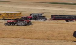TAKE Destekleriyle Elazığ'da Mercimek Üretimi Artıyor