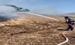 Elazığ'da 35 Dönüm Ekili Alan Küle Döndü