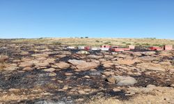 Elazığ'da Arazi Yangını: Arı Kovanları Zarar Gördü