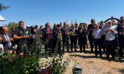 Elazığ'da 15 Temmuz Anma Programlarına Yoğun Katılım