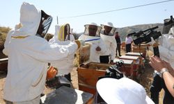 Elazığ'ın Marka Değeri Bal Hasadında