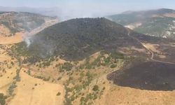 Elazığ'daki Orman Yangını Kontrol Altına Alındı