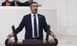 Semih Işıkver Hazar Gölü'nün Geleceğini Meclis'e Taşıdı