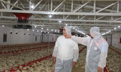 Elazığ'da Kanatlı Üretimine Stratejik Yatırım