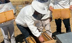 Elazığ’da Organik Bal Üretiminde Hasat Heyecanı