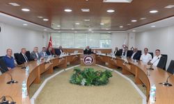 Romanya-Türkiye Ticaret ve Sanayi Odası’ndan Vali Hatipoğlu’na Ziyaret