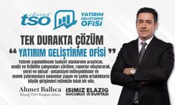 Elazığ Tek Durak Yatırım Geliştirme Ofisi Projesi