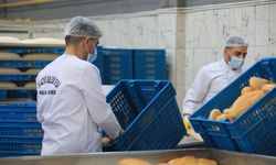 Elazığ Halk Ekmek’te Günlük 20 Bin Ekmek Üretiliyor