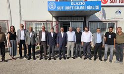 Erol Keleş’ten Süt Sektörüne Yönelik İnceleme