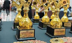 Elysium AVM ve Çaturanga SK’dan 4. Geleneksel Satranç Turnuvası