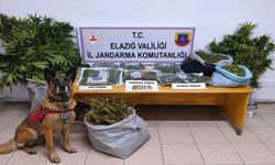 Elazığ’da Uyuşturucu Operasyonu: 3 Şüpheli Tutuklandı