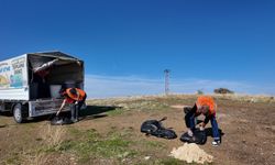 Elazığ’da Hayvanlara Yıl Boyu Destek
