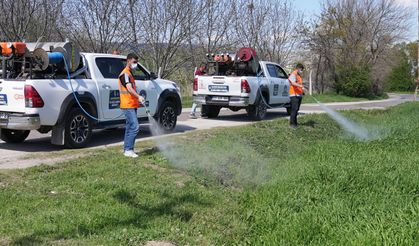Elazığ Belediyesi İlaçlama Çalışmalarına Hız Verdi