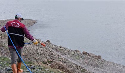 Larva İlaçlama Çalışmaları Devam Ediyor