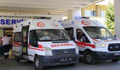 Elazığ’da Kenenin Isırdığı Adam Hastaneye Kaldırıldı