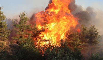 Hazar Gölü'nü Aydınlatan Alevler: Dağlık Alanda Korkutan Yangın
