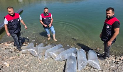 Beyhan Baraj Gölü’ne 50 Bin Yavru Balık Bırakıldı
